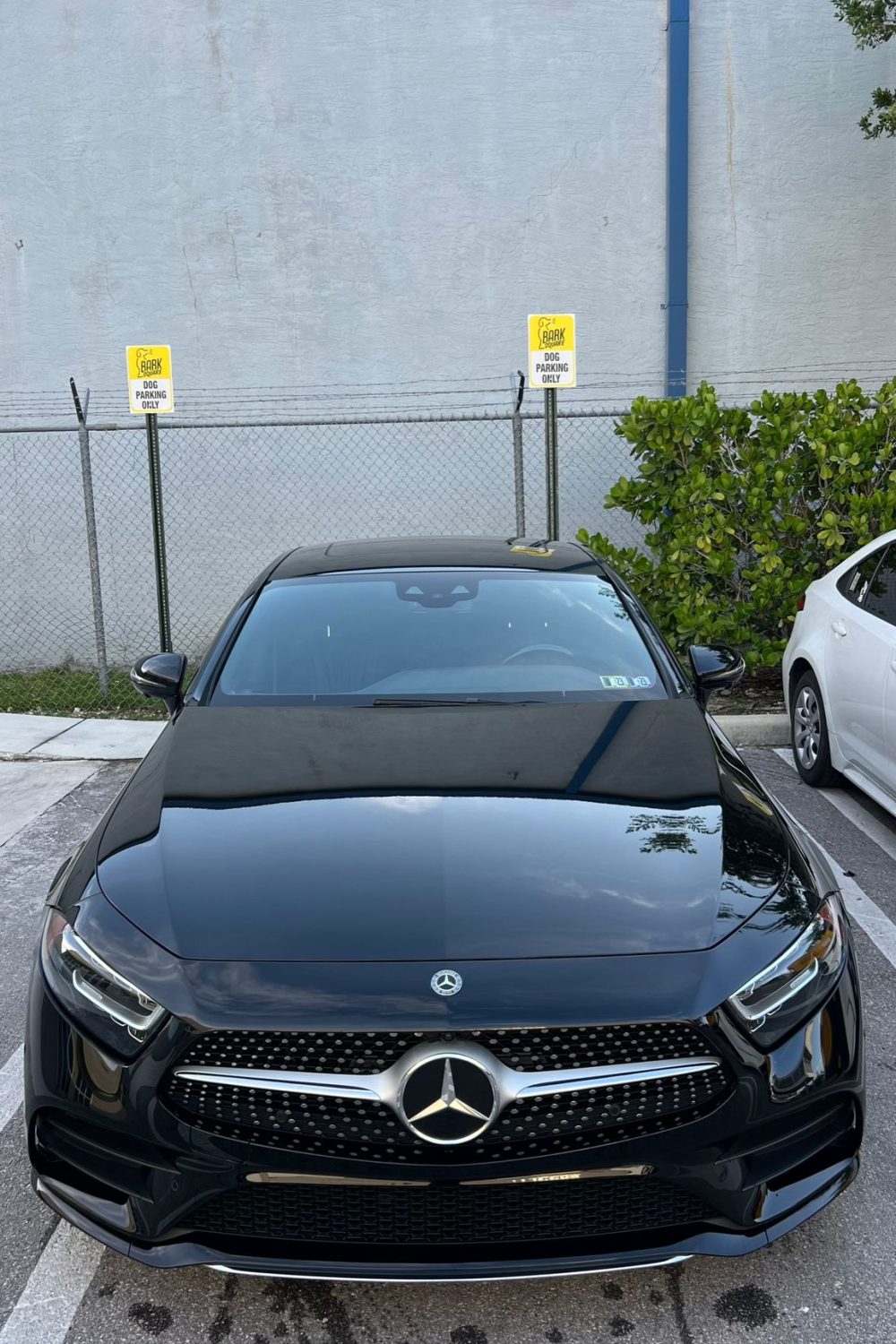 ceramic coating miami raindrop details 5